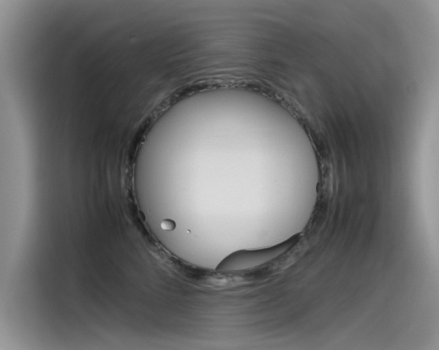 X0000115780712200911131006