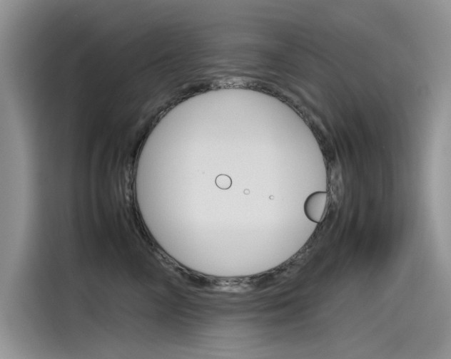 X0000115780714200911131006