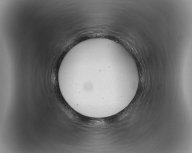 X0000115780715200911131006