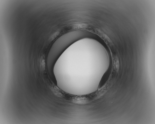 X0000115780716200911131006