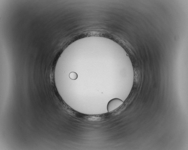 X0000115780718200911131006