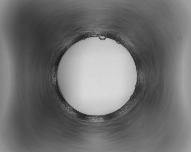 X0000115780719200911131006