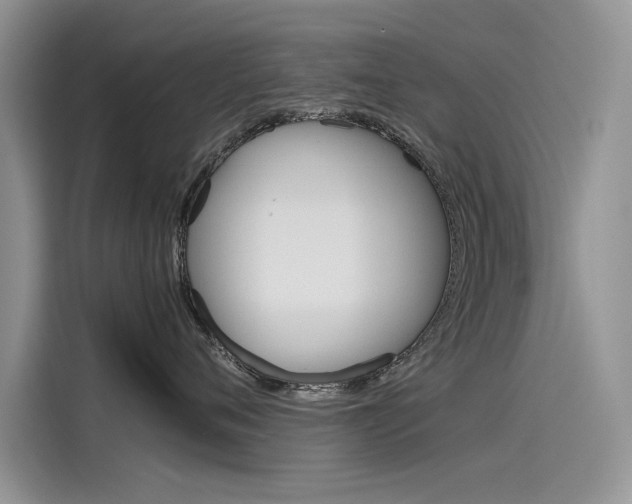 X0000115780720200911131006