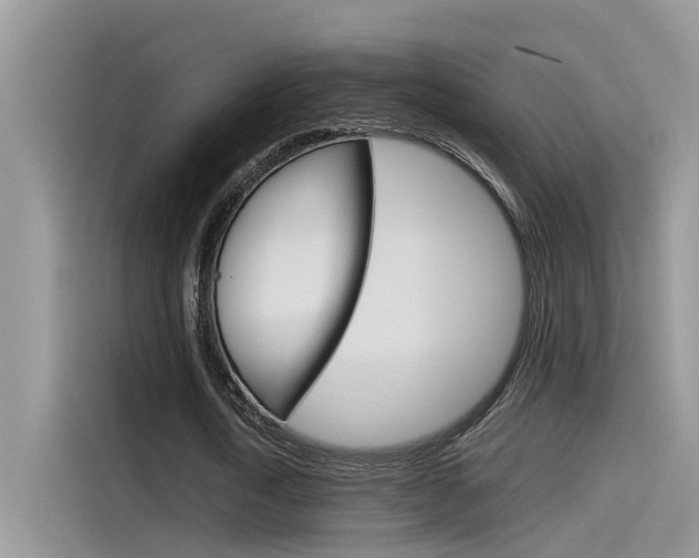 X0000115780722200911131005