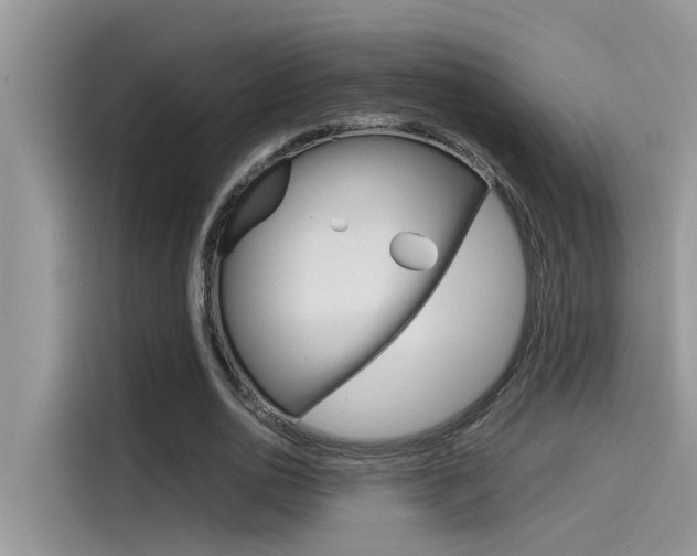 X0000115780726200911131006