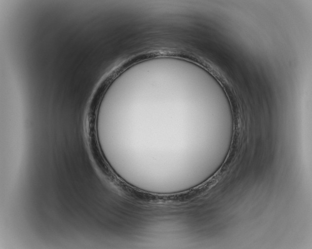X0000115780730200911131006