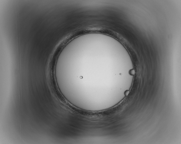 X0000115780731200911131006
