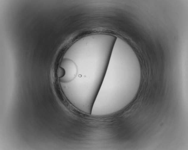 X0000115780734200911131006