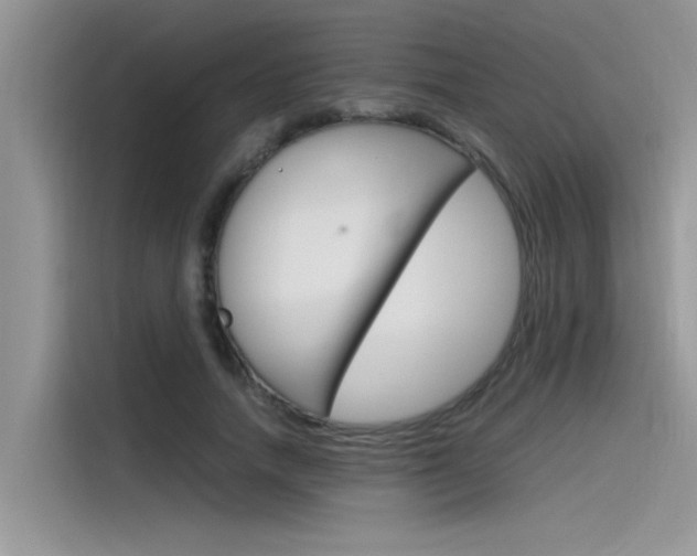 X0000115780738200911131006