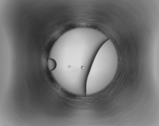 X0000115780746200911131006