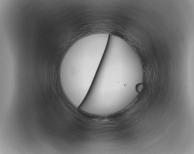 X0000115780747200911131006