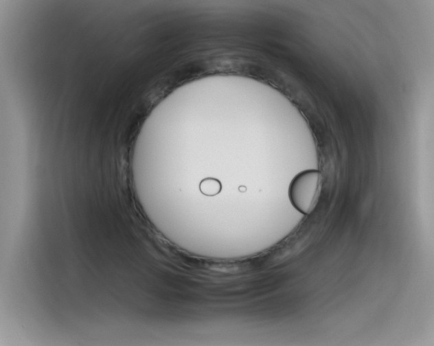 X0000115780749200911131006