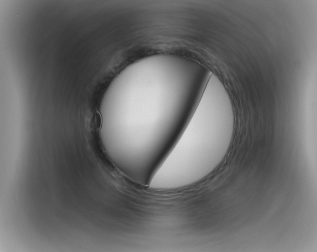 X0000115780750200911131006