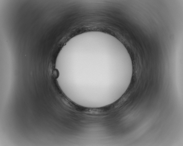 X0000115780758200911131006
