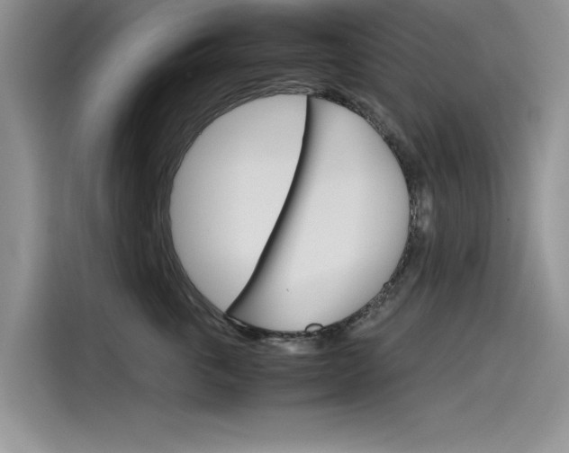X0000115780763200911131006