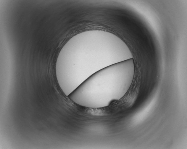 X0000115780767200911131006
