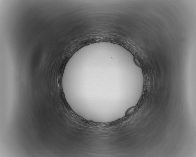 X0000115780770200911131005