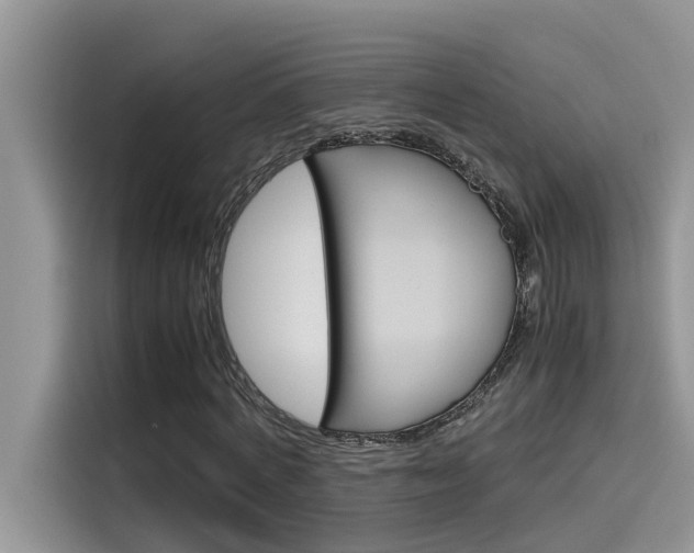 X0000115780772200911131005