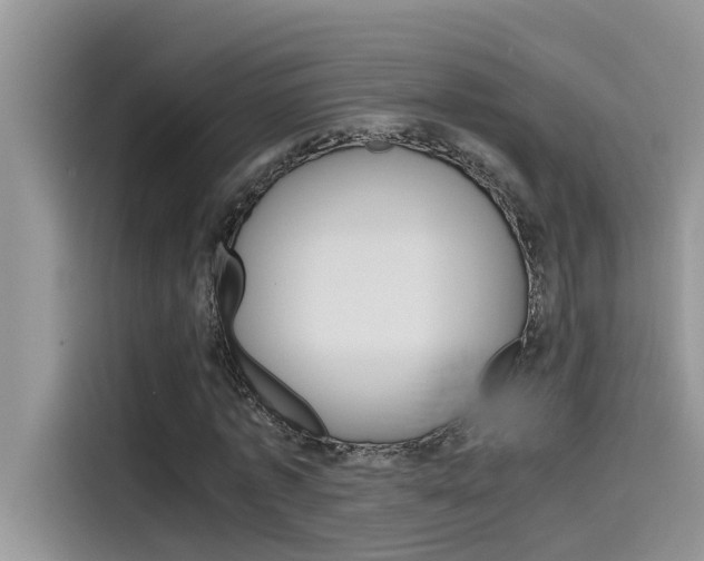 X0000115780773200911131005