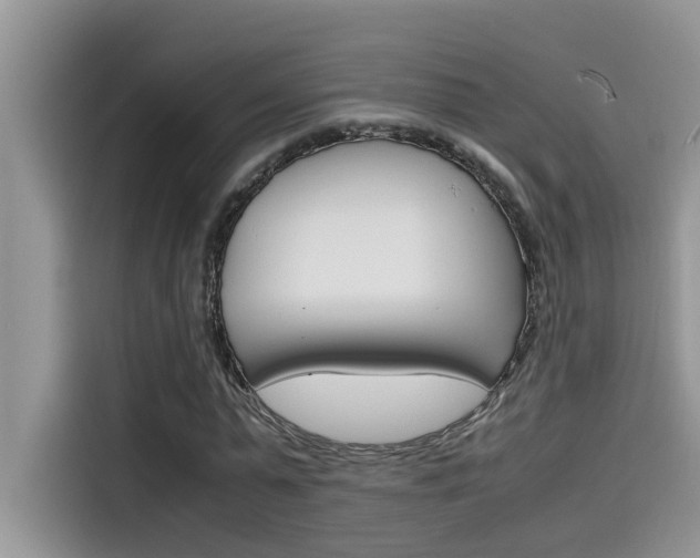 X0000115780775200911131005
