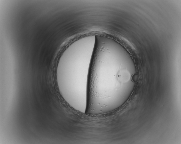 X0000115780776200911131005