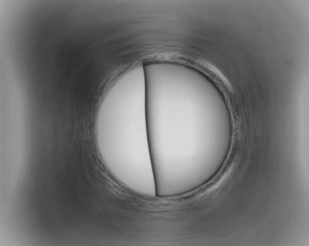 X0000115780777200911131005