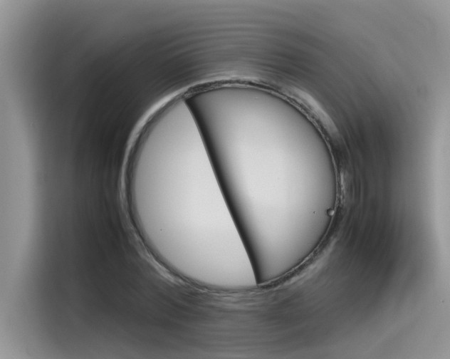 X0000115780780200911131005