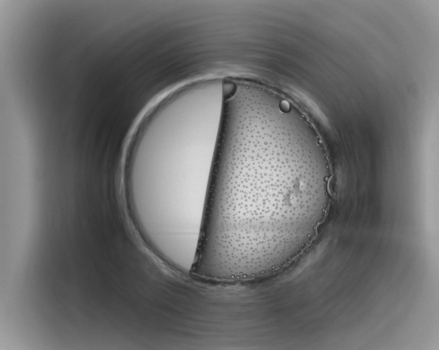 X0000115780784200911131005