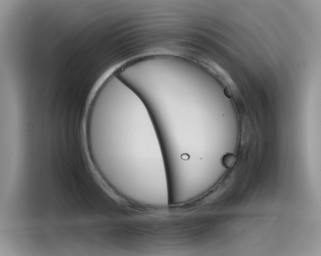 X0000115780796200911131005