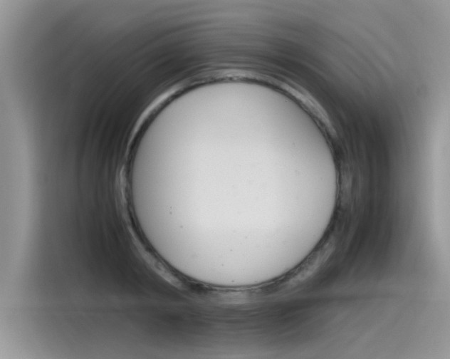 X0000115780798200911131005