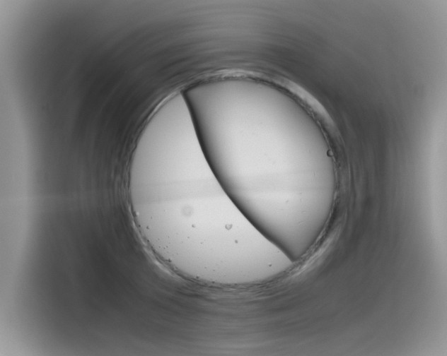 X0000115780801200911131005