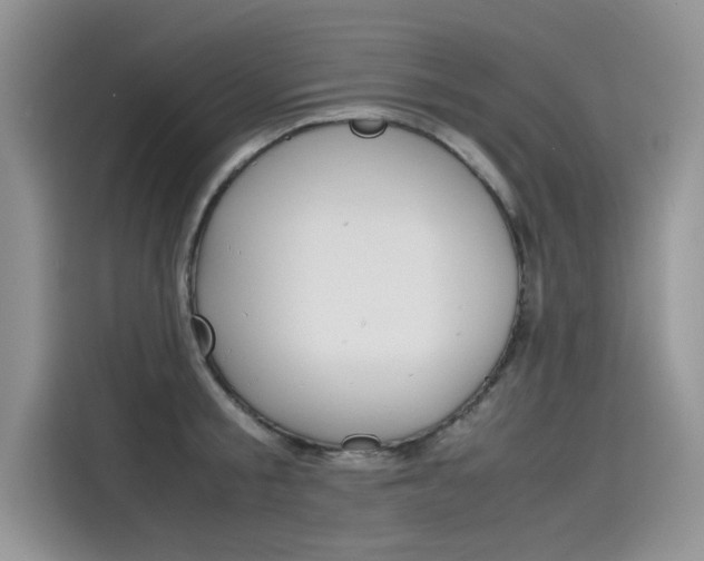 X0000115780805200911131005