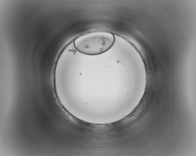 X0000115780807200911131005