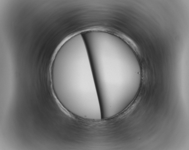 X0000115780808200911131005