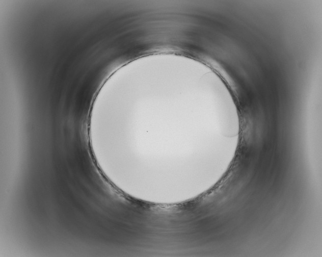 X0000115780810200911131005