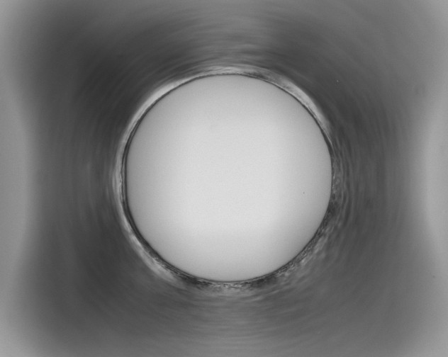X0000115780811200911131005