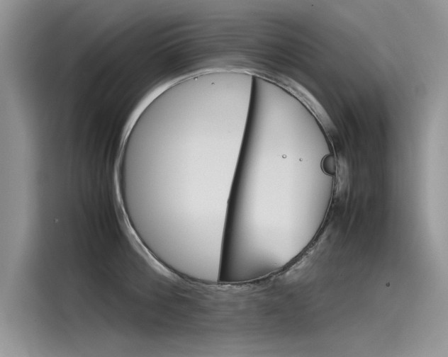 X0000115780812200911131005