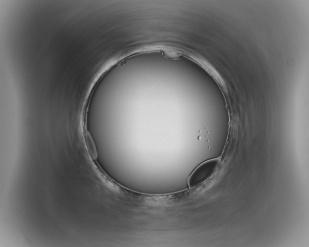 X0000115780813200911131005