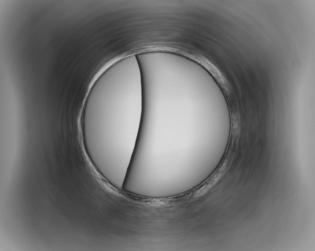X0000115780814200911131005