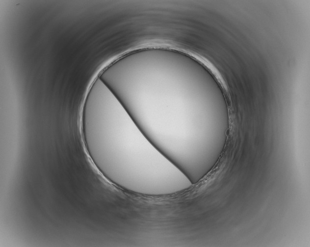 X0000115780815200911131005