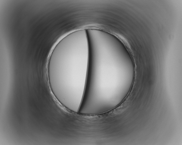 X0000115780816200911131005