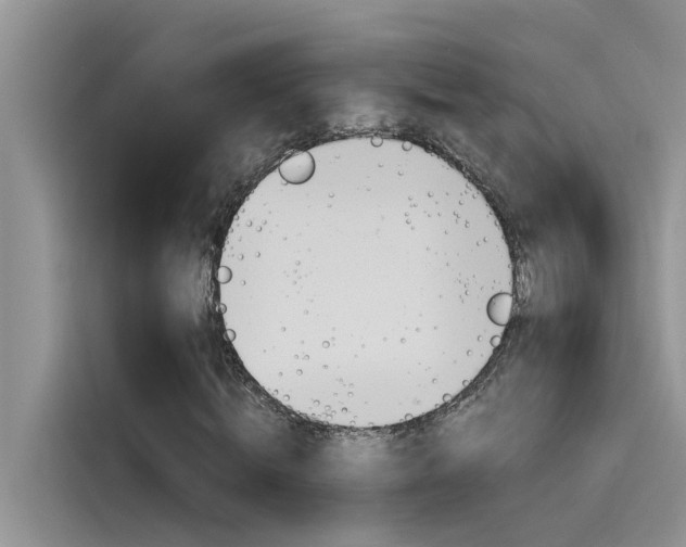 X0000115780820200911131004