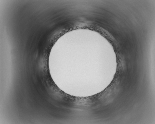 X0000115780824200911131004