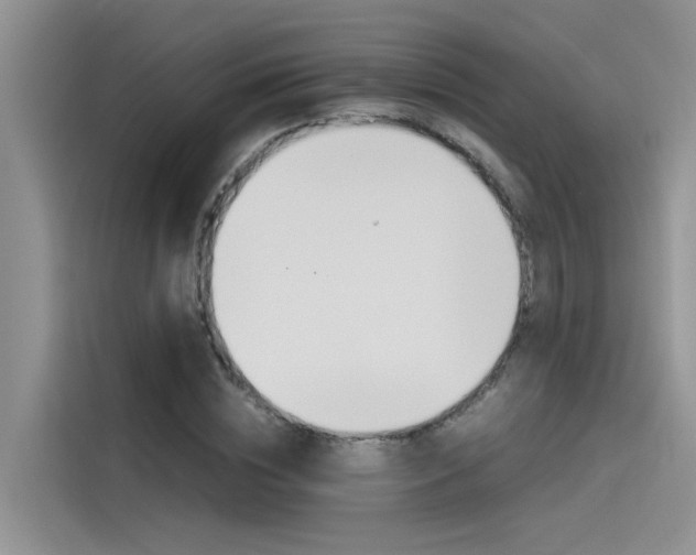 X0000115780828200911131004