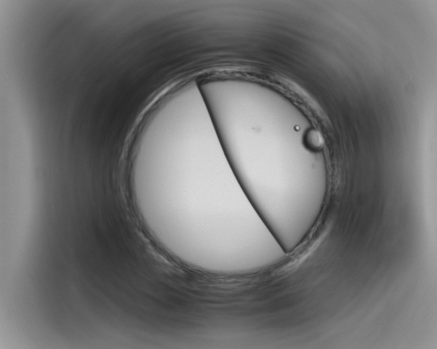 X0000115780829200911131004
