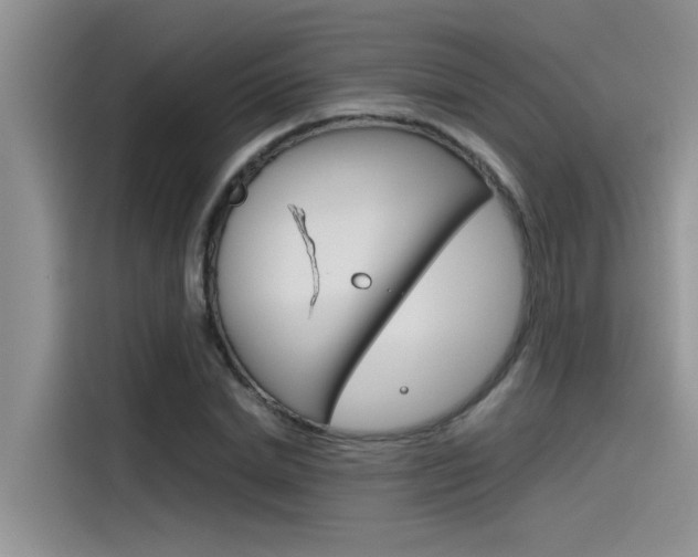 X0000115780830200911131004