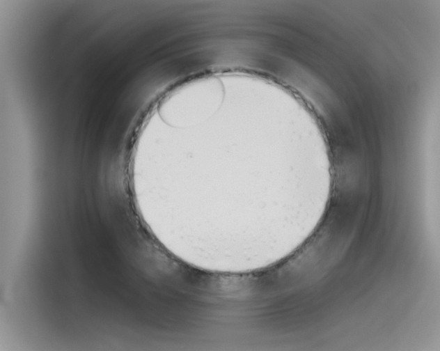 X0000115780832200911131004