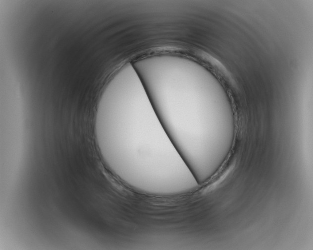 X0000115780833200911131004