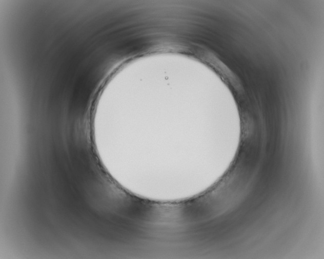 X0000115780836200911131004