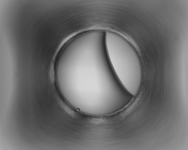X0000115780838200911131005